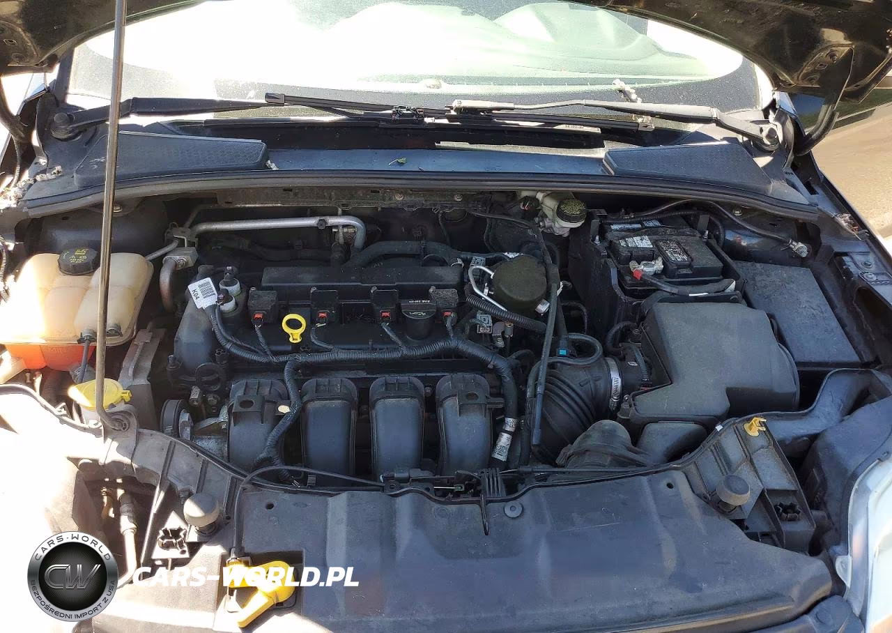2014 Ford Focus Se VIN:1FADP3K29EL294975 - 12