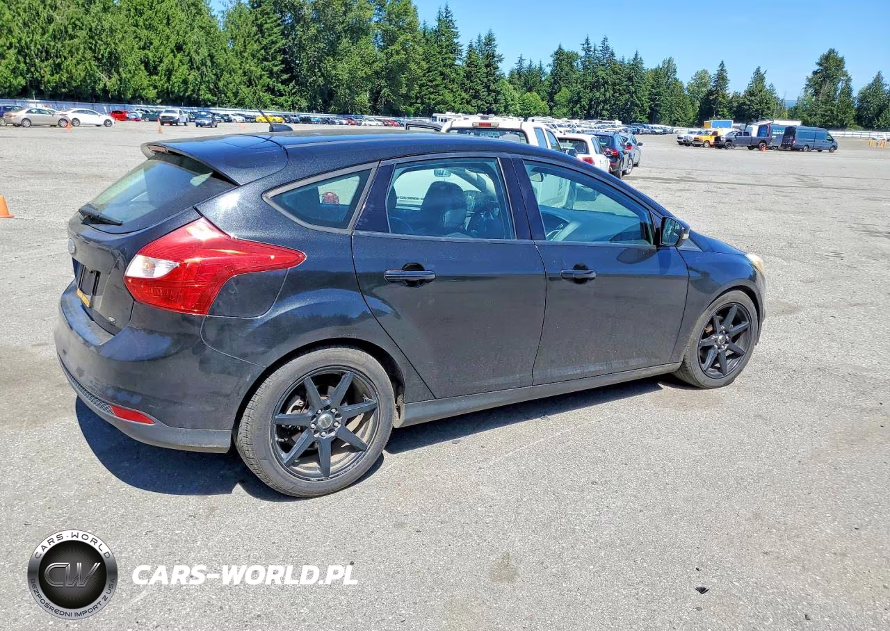 2014 Ford Focus Se VIN:1FADP3K29EL294975 - 3