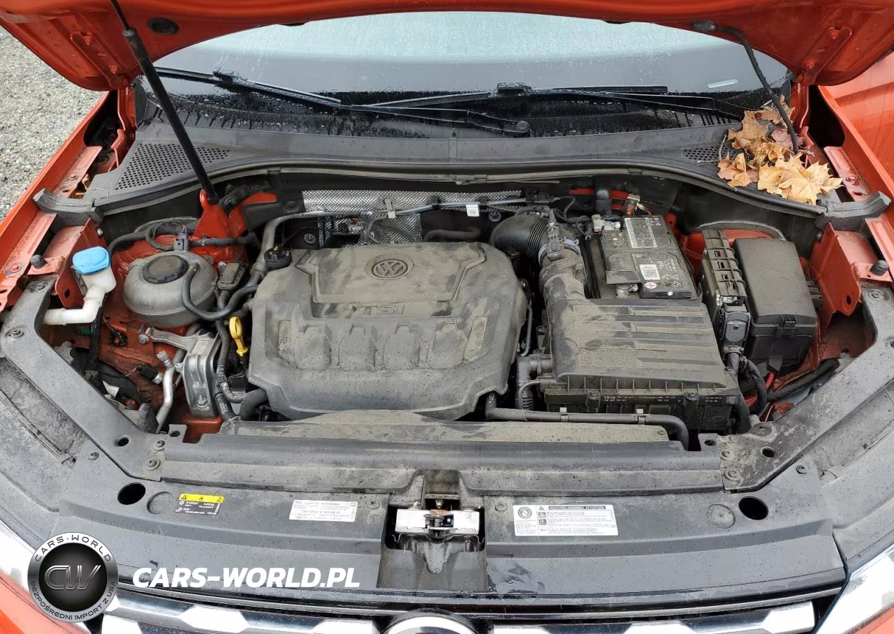 2019 Volkswagen Tiguan S VIN:3VV1B7AX2KM146582 - 12