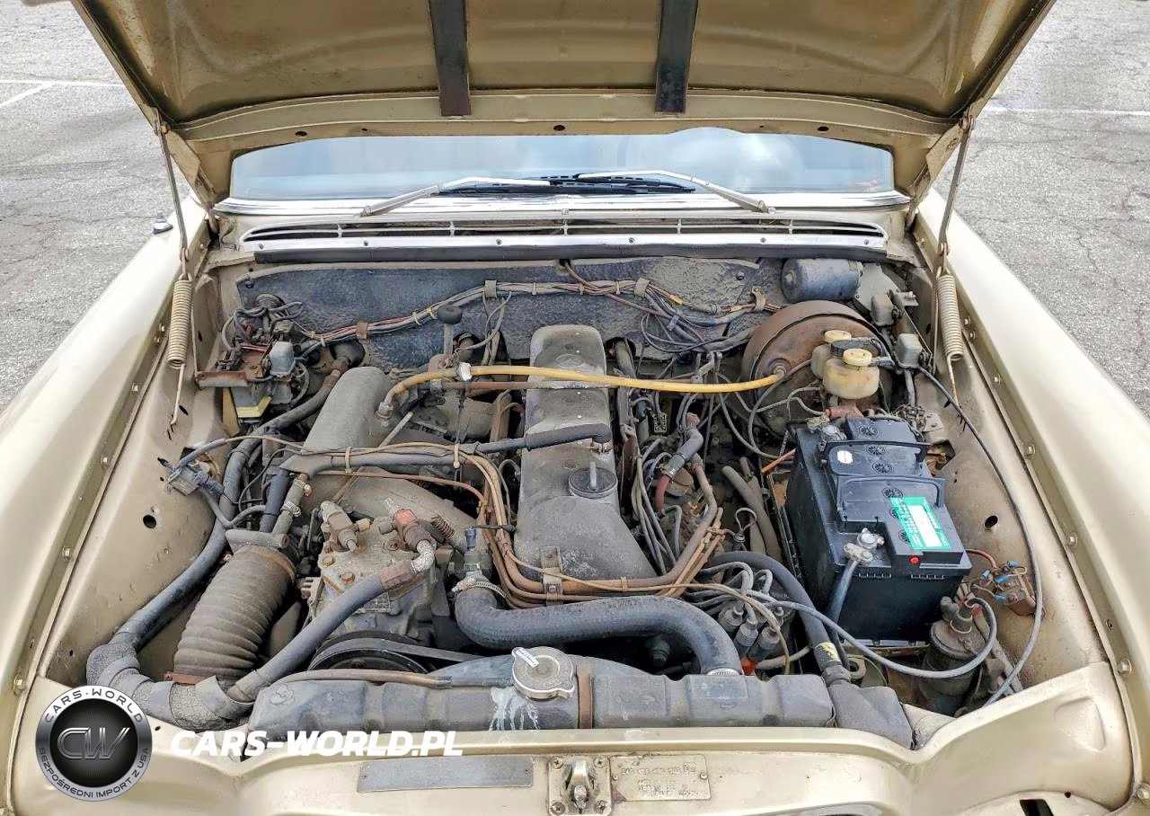 1971 Mercedes-Benz 280 Se VIN:10801812075800 - 11