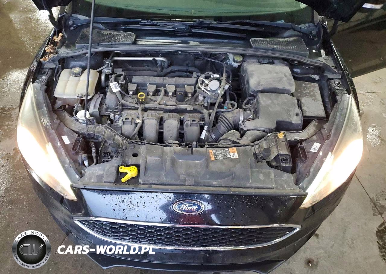 2016 Ford Focus Se VIN:1FADP3K22GL362553 - 11