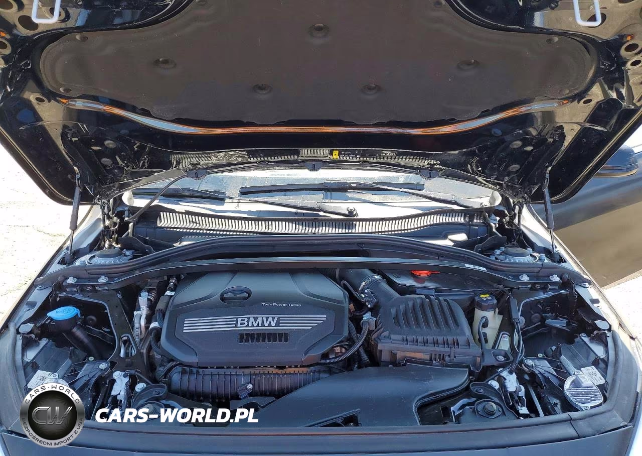 2022 BMW 228I VIN:WBA53AK02N7K11809 - 11