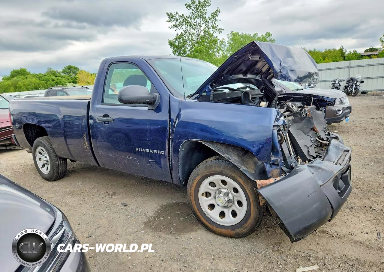 2010 Chevrolet Silverado C1500 VIN:1GCPCPEX0AZ227464 - 4