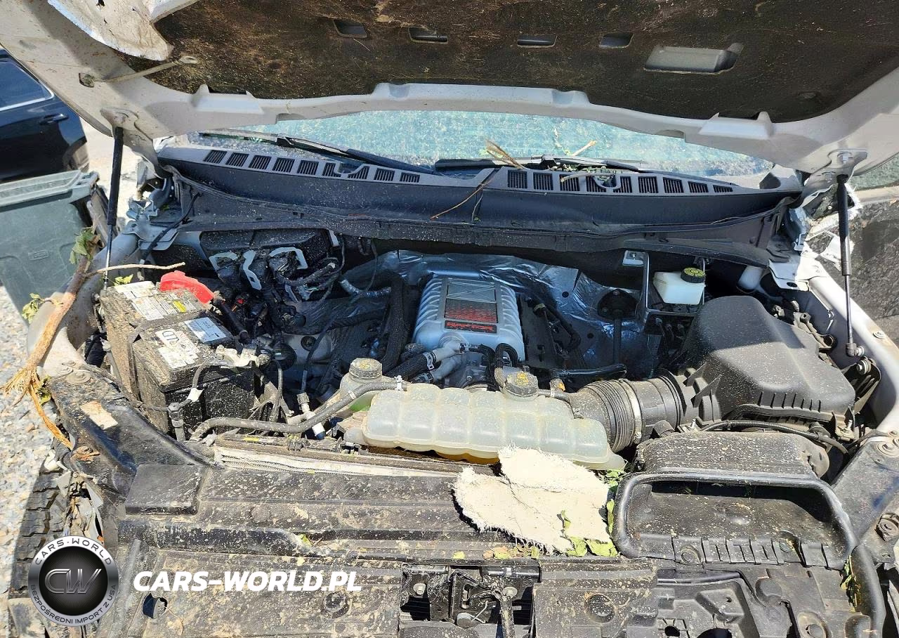 2023 Ford F150 Raptor VIN:1FTFW1RJ1PFA58961 - 11