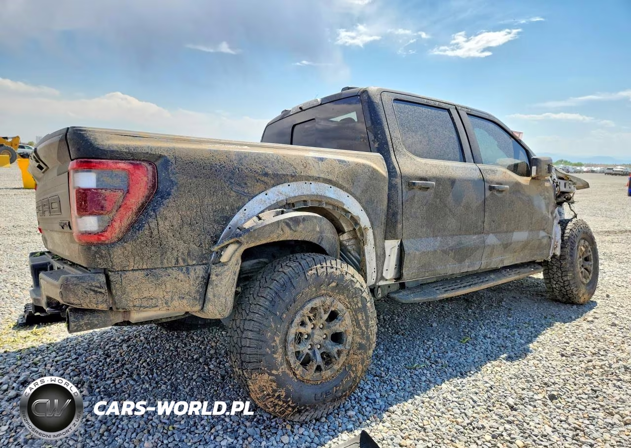 2023 Ford F150 Raptor VIN:1FTFW1RJ1PFA58961 - 3