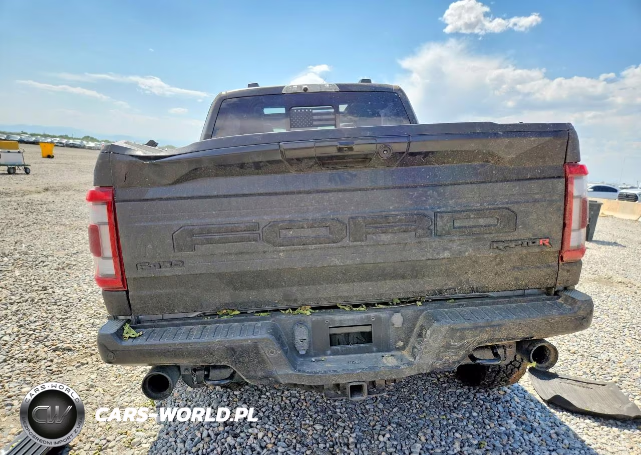 2023 Ford F150 Raptor VIN:1FTFW1RJ1PFA58961 - 6