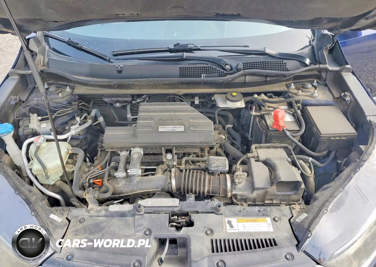 2019 Honda Cr-V Exl VIN:5J6RW1H82KA044983 - 12