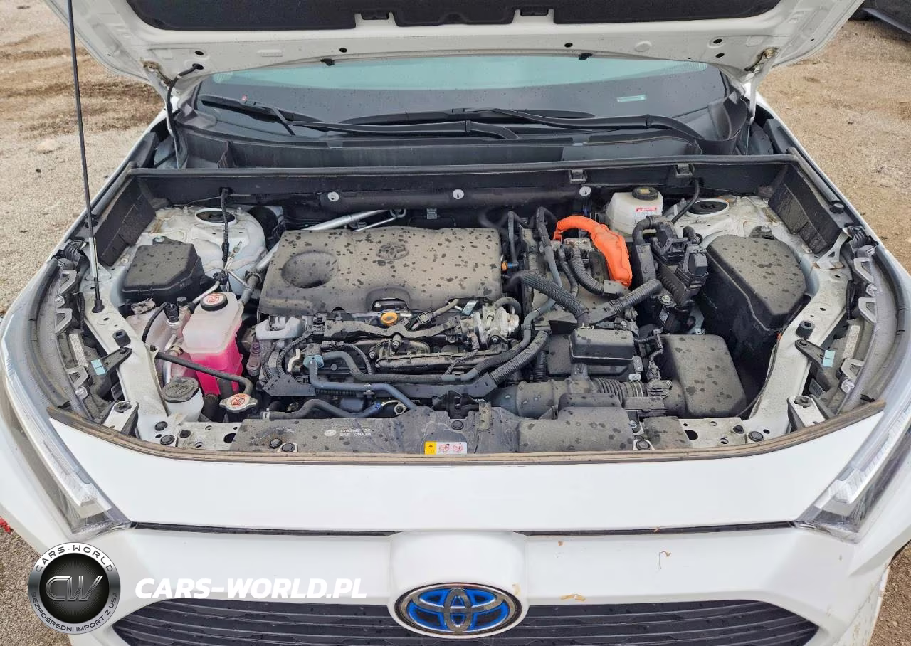 2024 Toyota Rav4 Hybrid Xle VIN:4T3RWRFV6RU126580 - 11