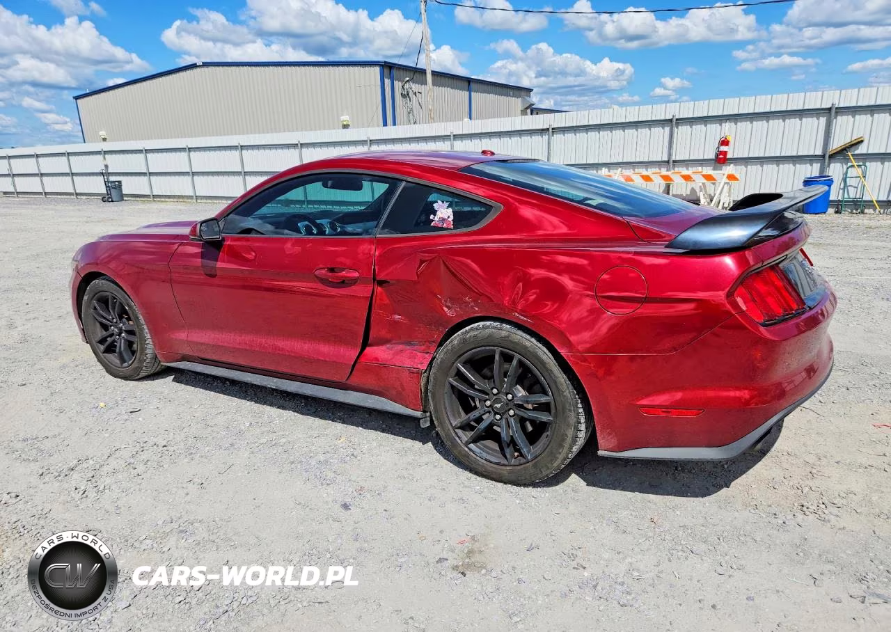 2016 Ford Mustang VIN:1FA6P8TH9G5292840 - 2