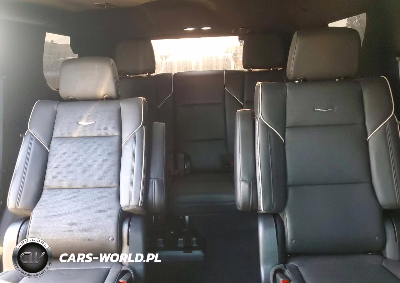 2023 Cadillac Escalade Premium Luxury VIN:1GYS4BKL1PR467265 - 10