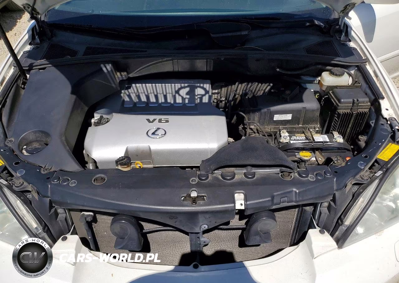 2007 Lexus Rx 350 VIN:JTJHK31U672003142 - 12