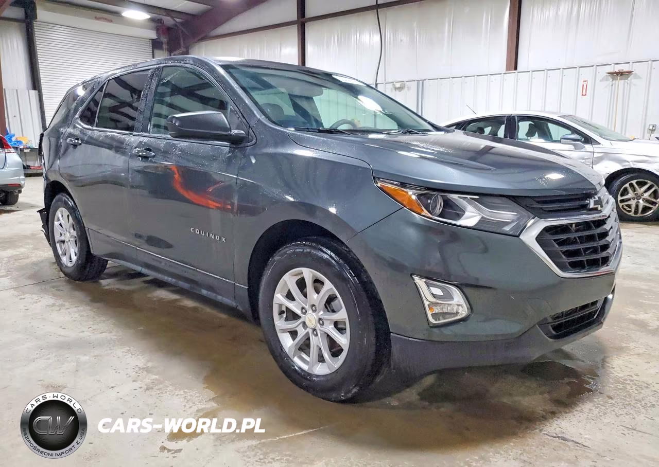 2019 Chevrolet Equinox Ls VIN:3GNAXSEV7KS665805 - 4