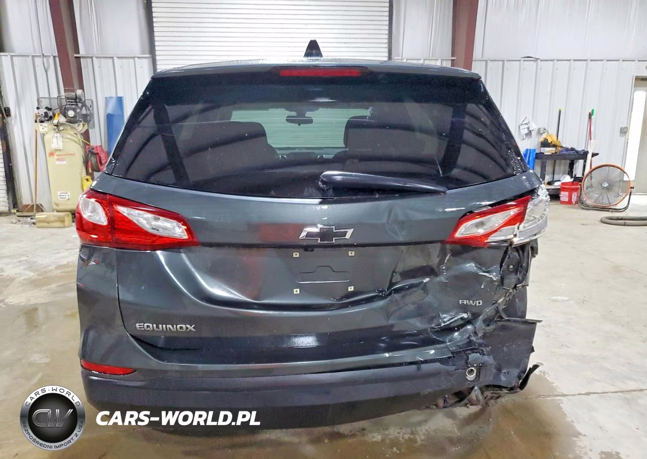 2019 Chevrolet Equinox Ls VIN:3GNAXSEV7KS665805 - 6