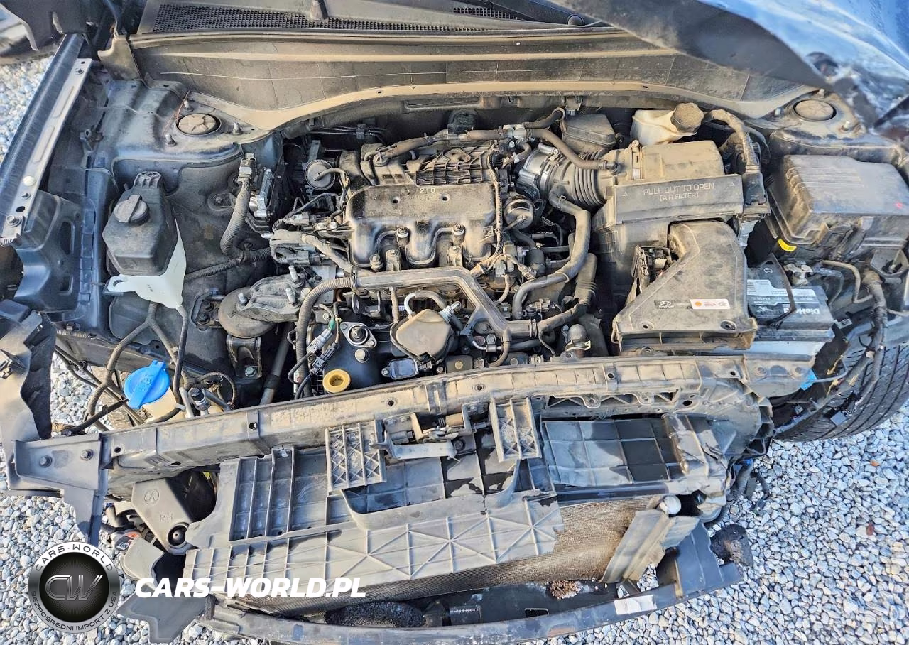 2021 Hyundai Palisade Calligraphy VIN:KM8R7DHE5MU176918 - 12