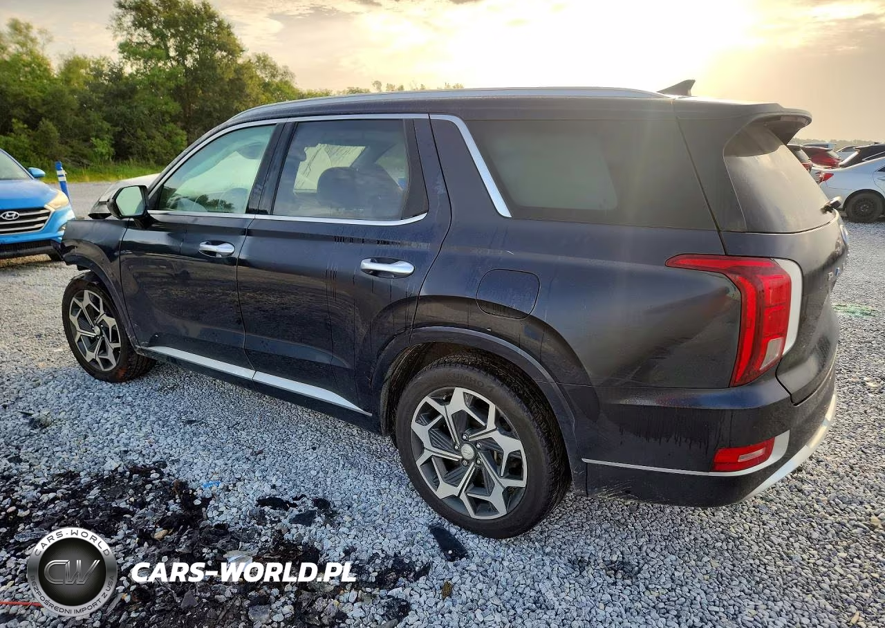 2021 Hyundai Palisade Calligraphy VIN:KM8R7DHE5MU176918 - 2