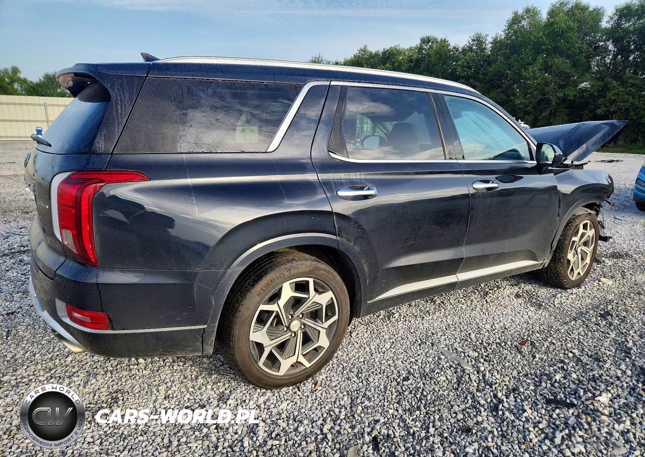 2021 Hyundai Palisade Calligraphy VIN:KM8R7DHE5MU176918 - 3