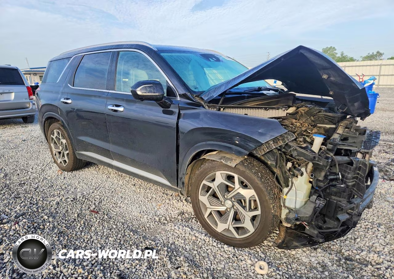 2021 Hyundai Palisade Calligraphy VIN:KM8R7DHE5MU176918 - 4