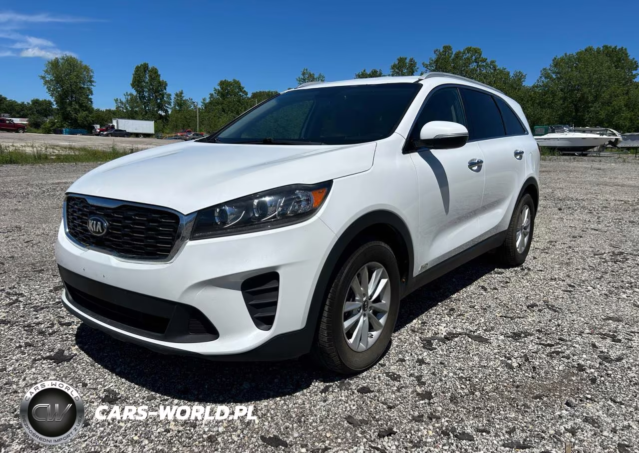 2019 Kia Sorento Lx VIN:5XYPGDA33KG454475 - 2
