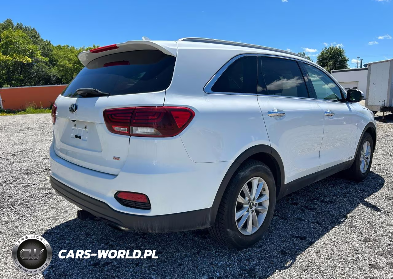2019 Kia Sorento Lx VIN:5XYPGDA33KG454475 - 4