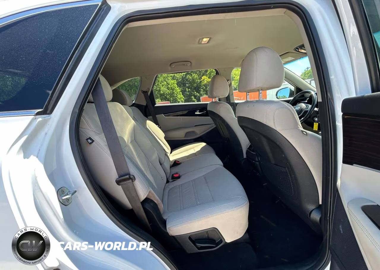 2019 Kia Sorento Lx VIN:5XYPGDA33KG454475 - 6