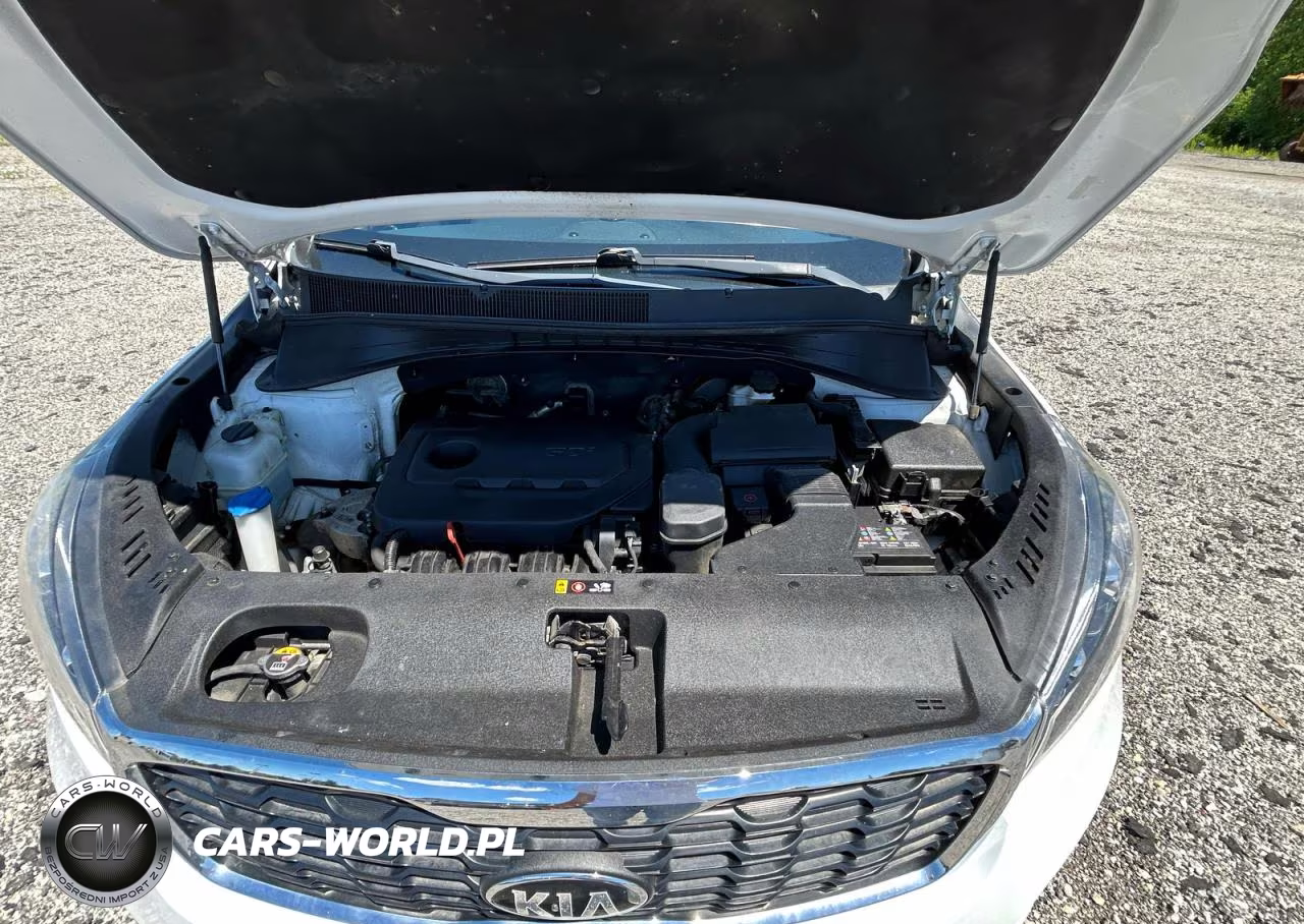 2019 Kia Sorento Lx VIN:5XYPGDA33KG454475 - 7