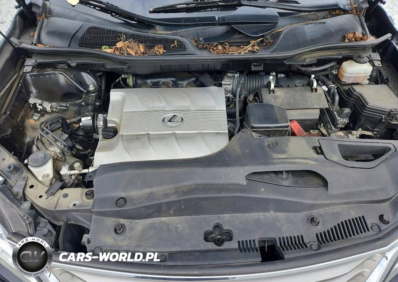 2014 Lexus Rx 350 VIN:JTJZK1BA0E2013692 - 12