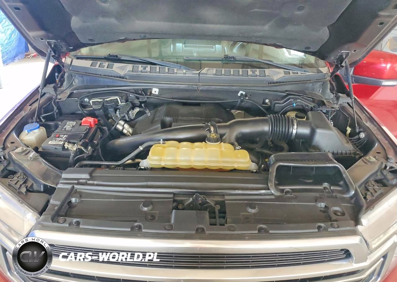 2019 Ford F150 Supercrew VIN:1FTEW1EG6KFB02404 - 11