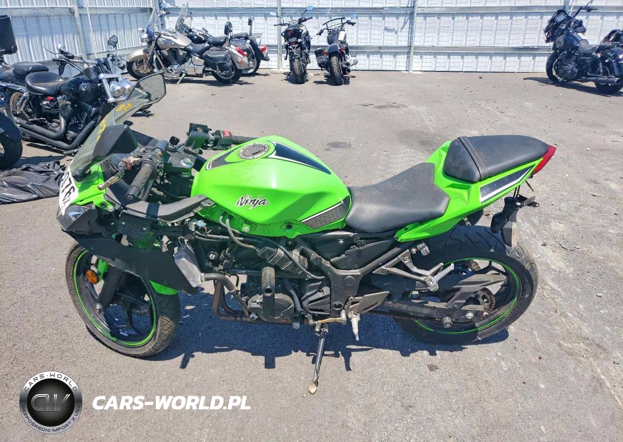 2013 Kawasaki Ex300 A VIN:JKAEX8A17DDA09880 - 3