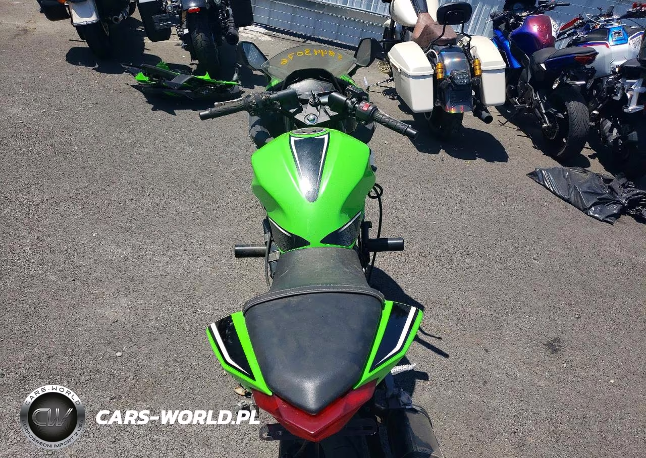 2013 Kawasaki Ex300 A VIN:JKAEX8A17DDA09880 - 6