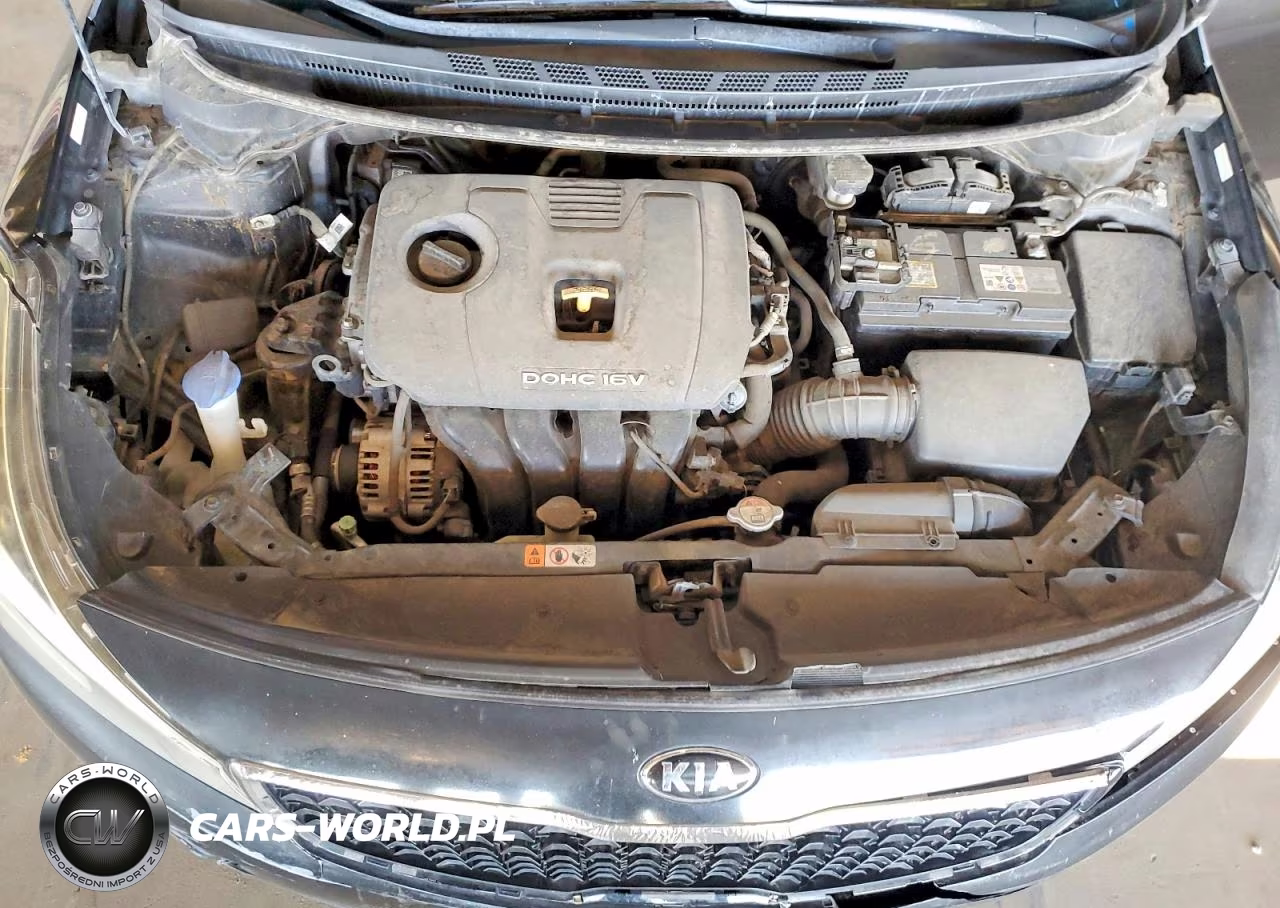 2017 Kia Forte Lx VIN:3KPFK4A70HE084668 - 11