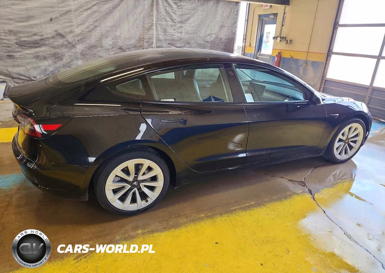 2023 Tesla Model 3 VIN:5YJ3E1EA7PF437527 - 3