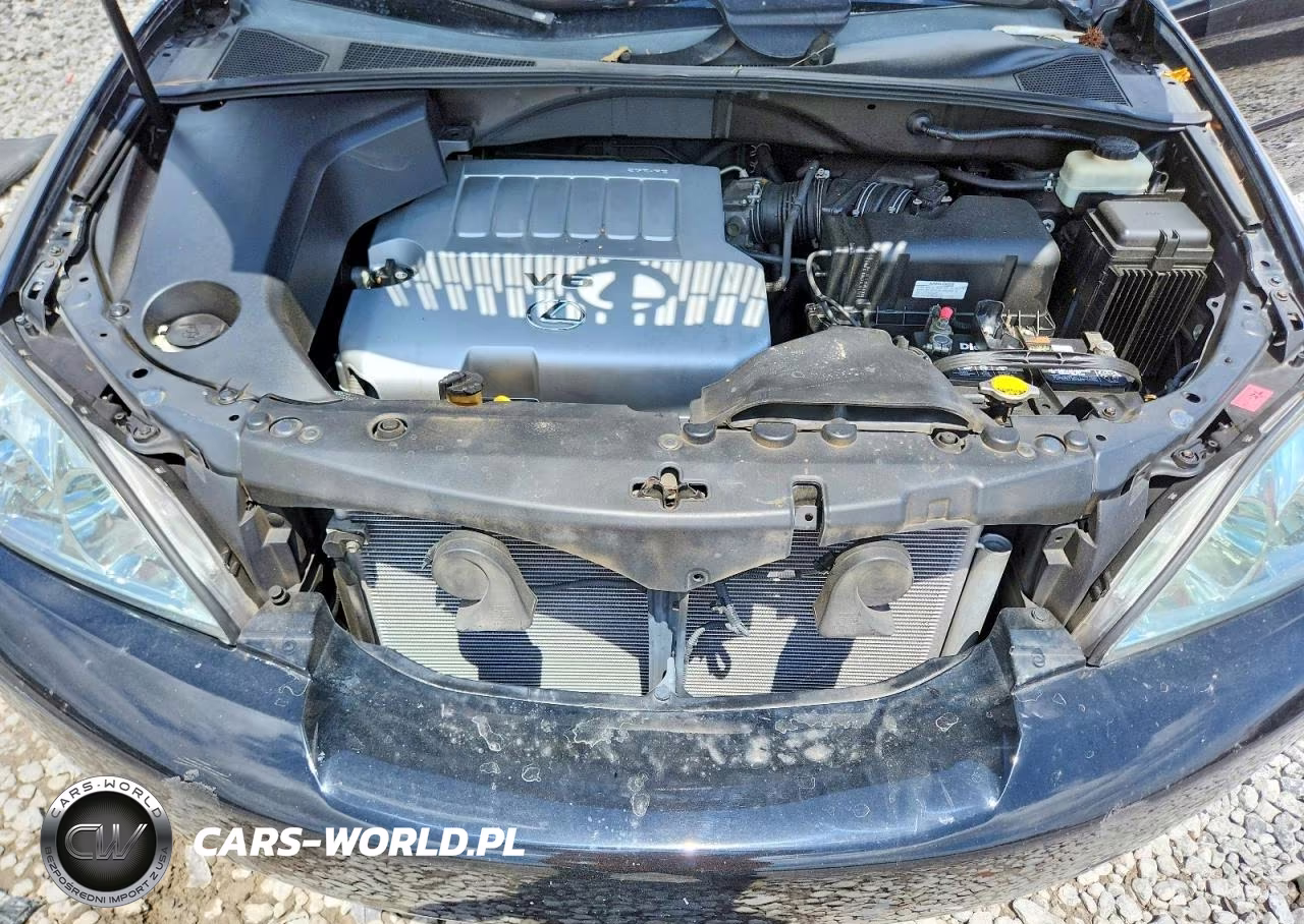 2007 Lexus Rx 350 VIN:2T2GK31U07C014309 - 12