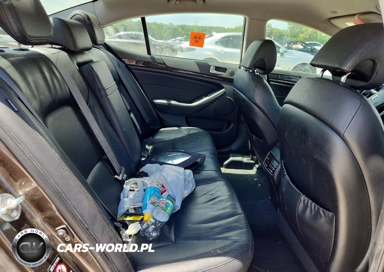 2014 Kia Cadenza Premium VIN:KNALN4D77E5120463 - 10