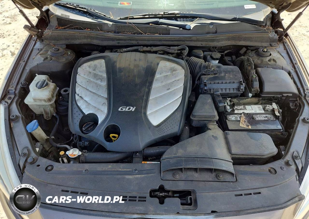 2014 Kia Cadenza Premium VIN:KNALN4D77E5120463 - 11