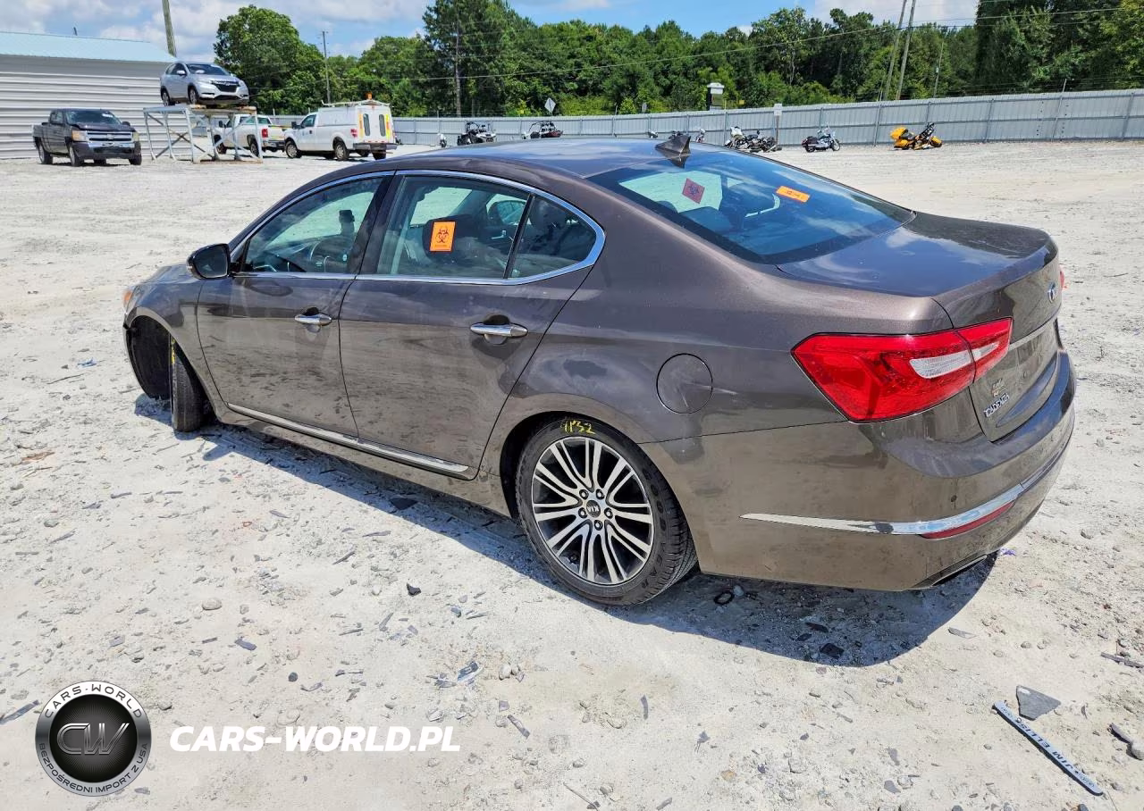 2014 Kia Cadenza Premium VIN:KNALN4D77E5120463 - 2