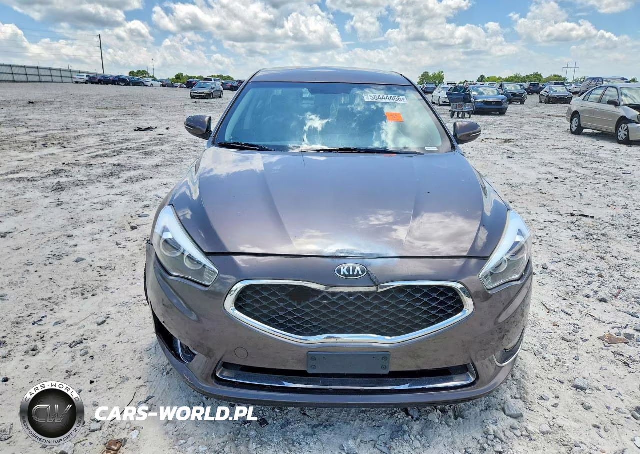 2014 Kia Cadenza Premium VIN:KNALN4D77E5120463 - 5