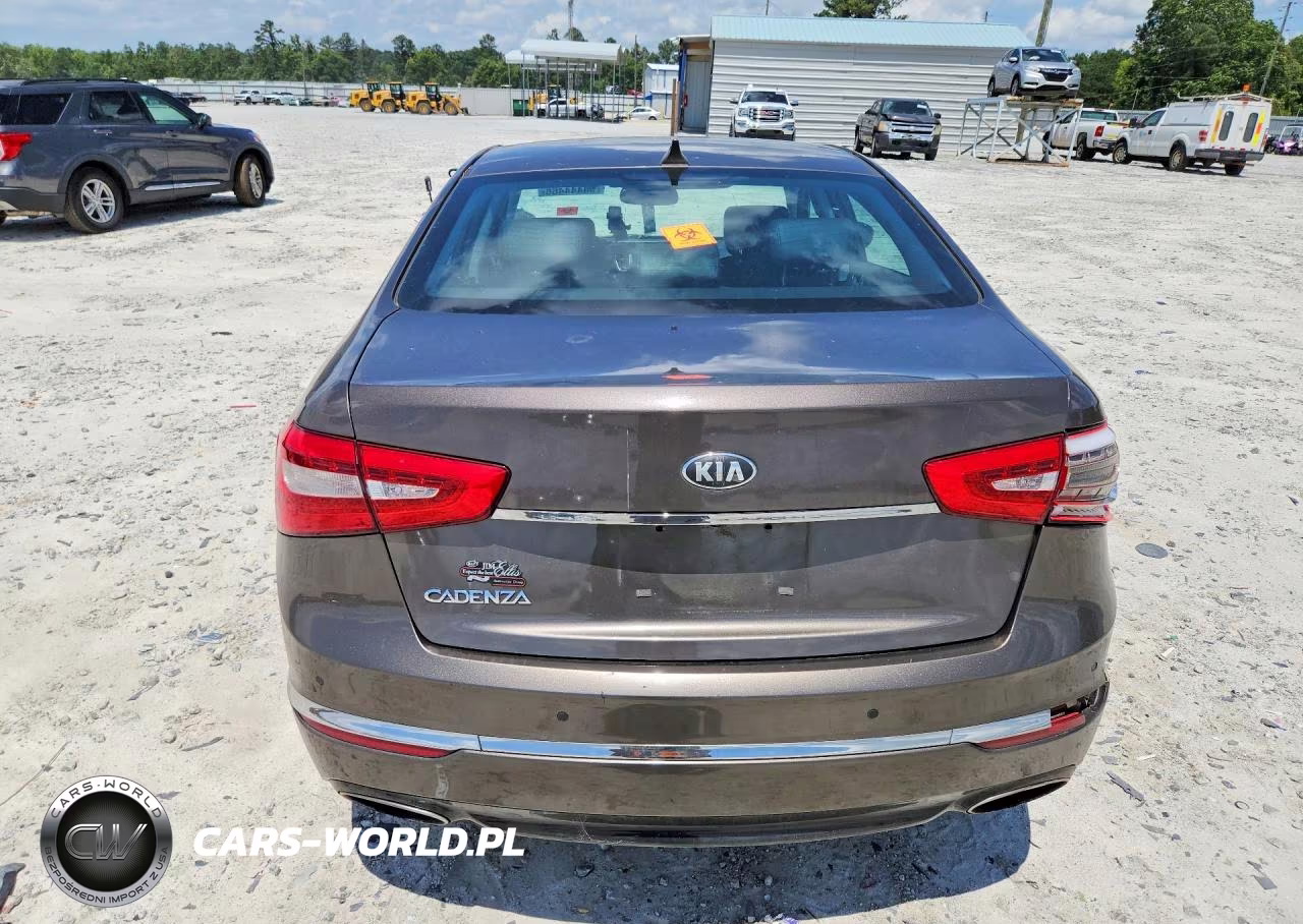 2014 Kia Cadenza Premium VIN:KNALN4D77E5120463 - 6