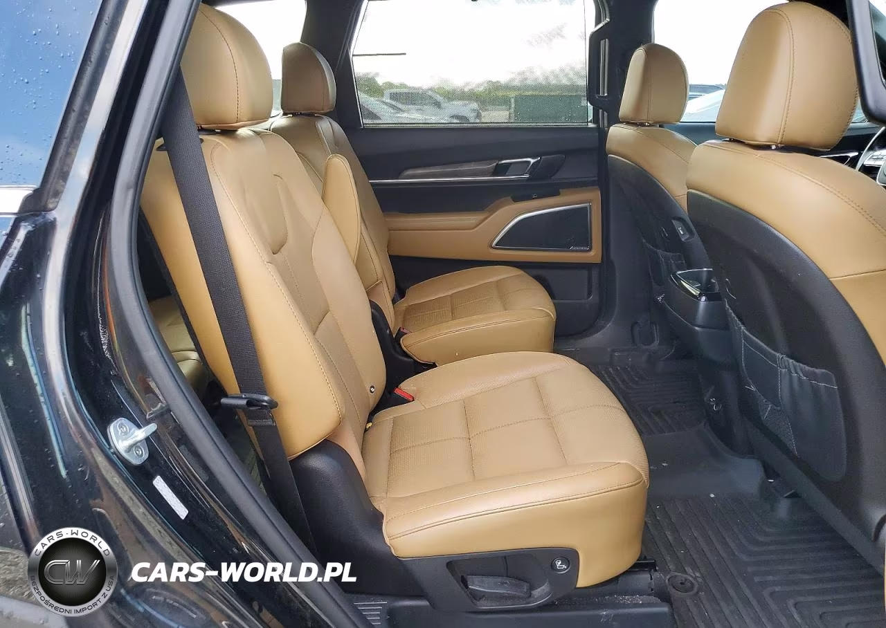 2020 Kia Telluride Sx VIN:5XYP54HC6LG042340 - 11