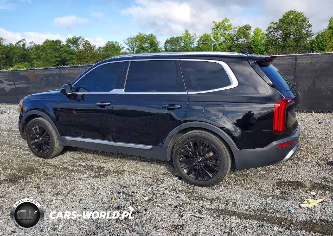 2020 Kia Telluride Sx VIN:5XYP54HC6LG042340 - 2
