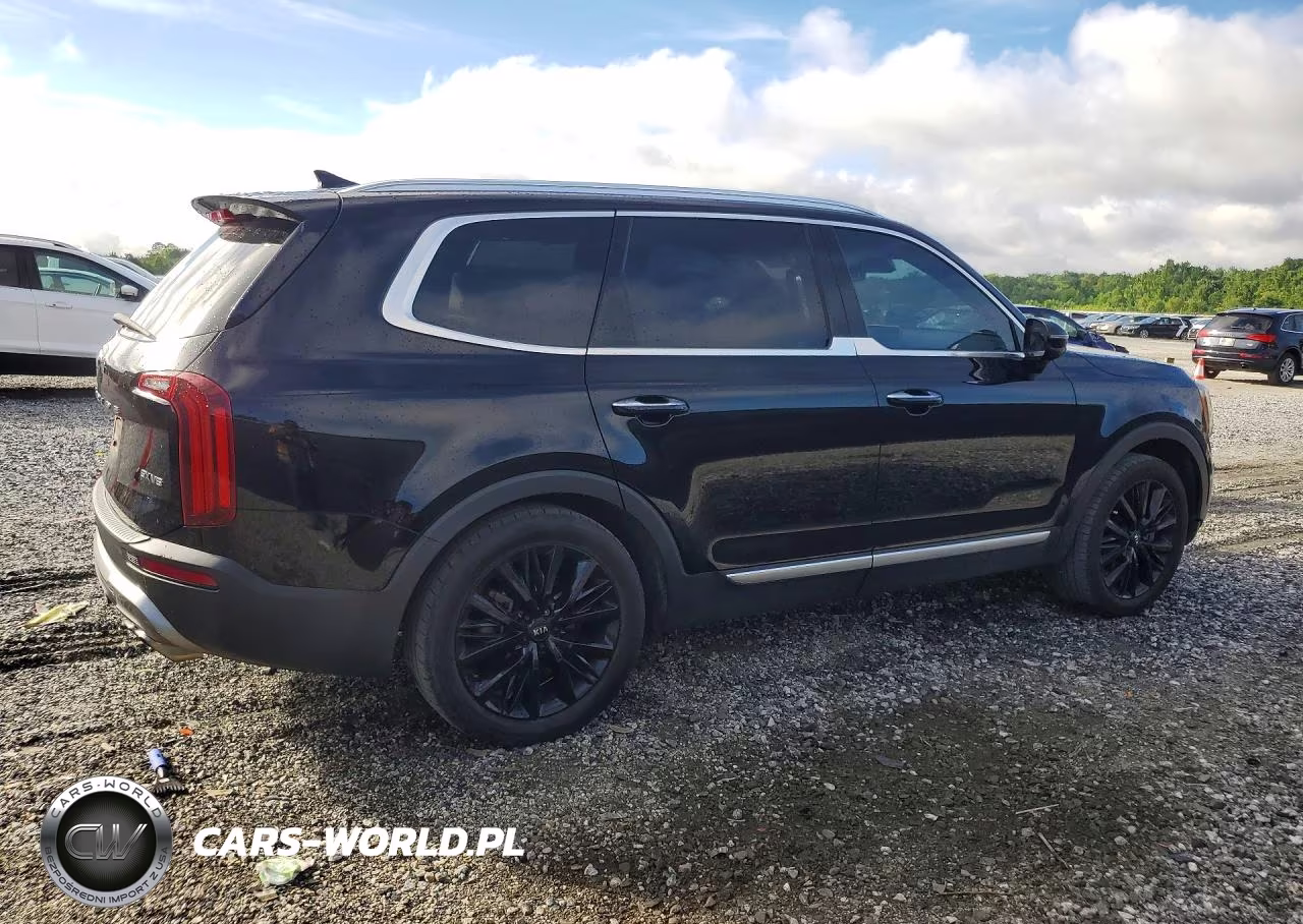 2020 Kia Telluride Sx VIN:5XYP54HC6LG042340 - 3