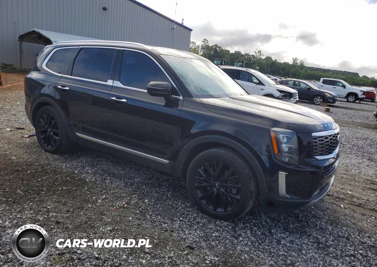 2020 Kia Telluride Sx VIN:5XYP54HC6LG042340 - 4