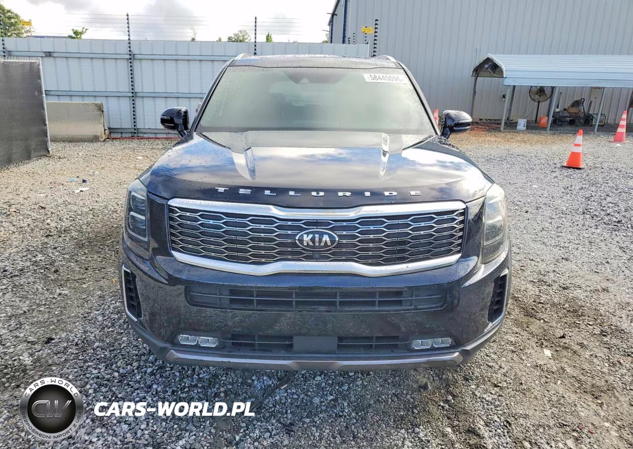 2020 Kia Telluride Sx VIN:5XYP54HC6LG042340 - 5
