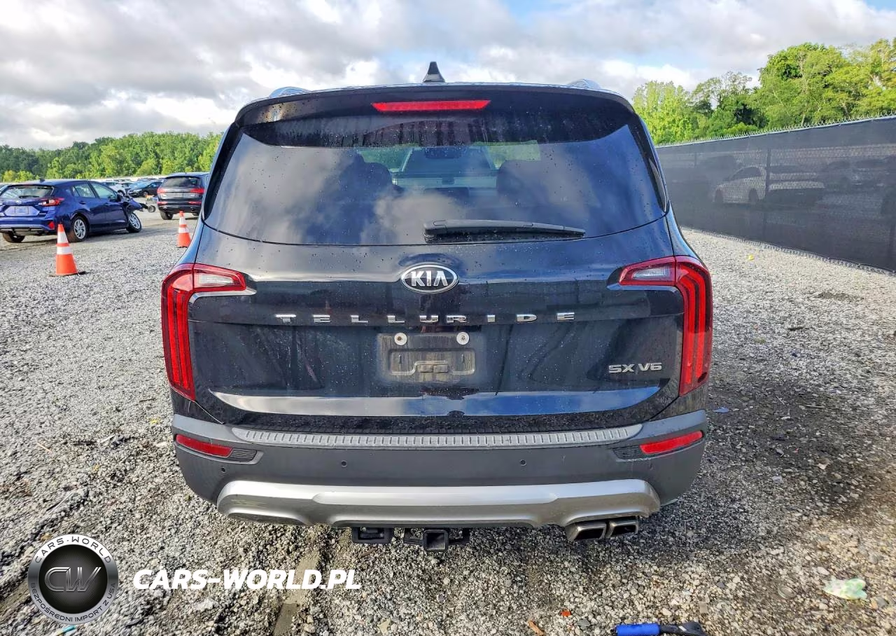 2020 Kia Telluride Sx VIN:5XYP54HC6LG042340 - 6