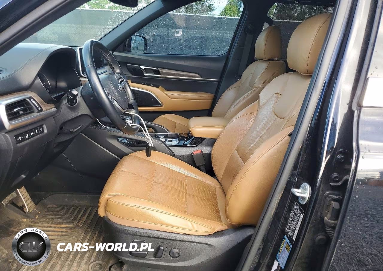 2020 Kia Telluride Sx VIN:5XYP54HC6LG042340 - 7