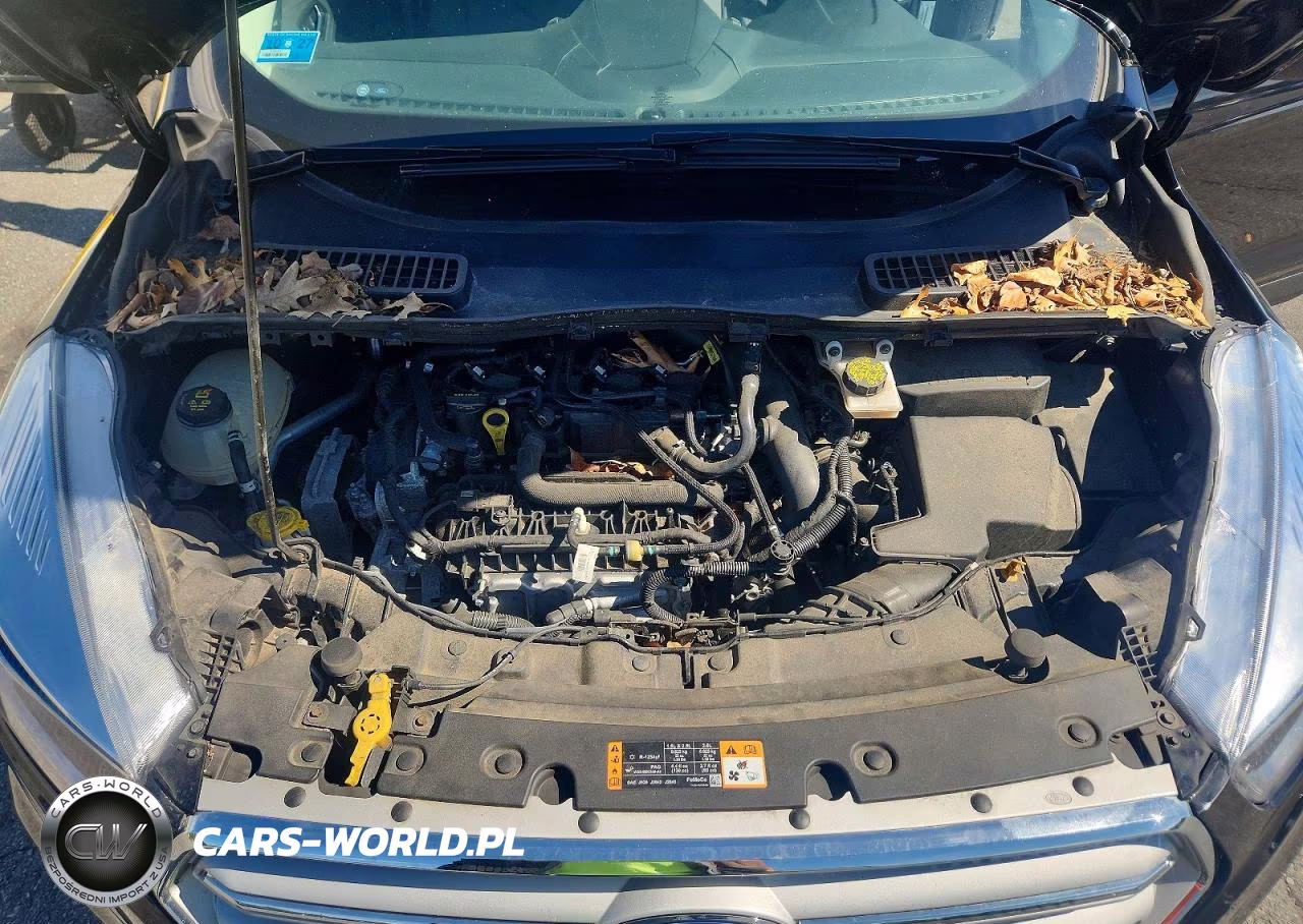 2019 Ford Escape Se VIN:1FMCU9GDXKUC42400 - 12