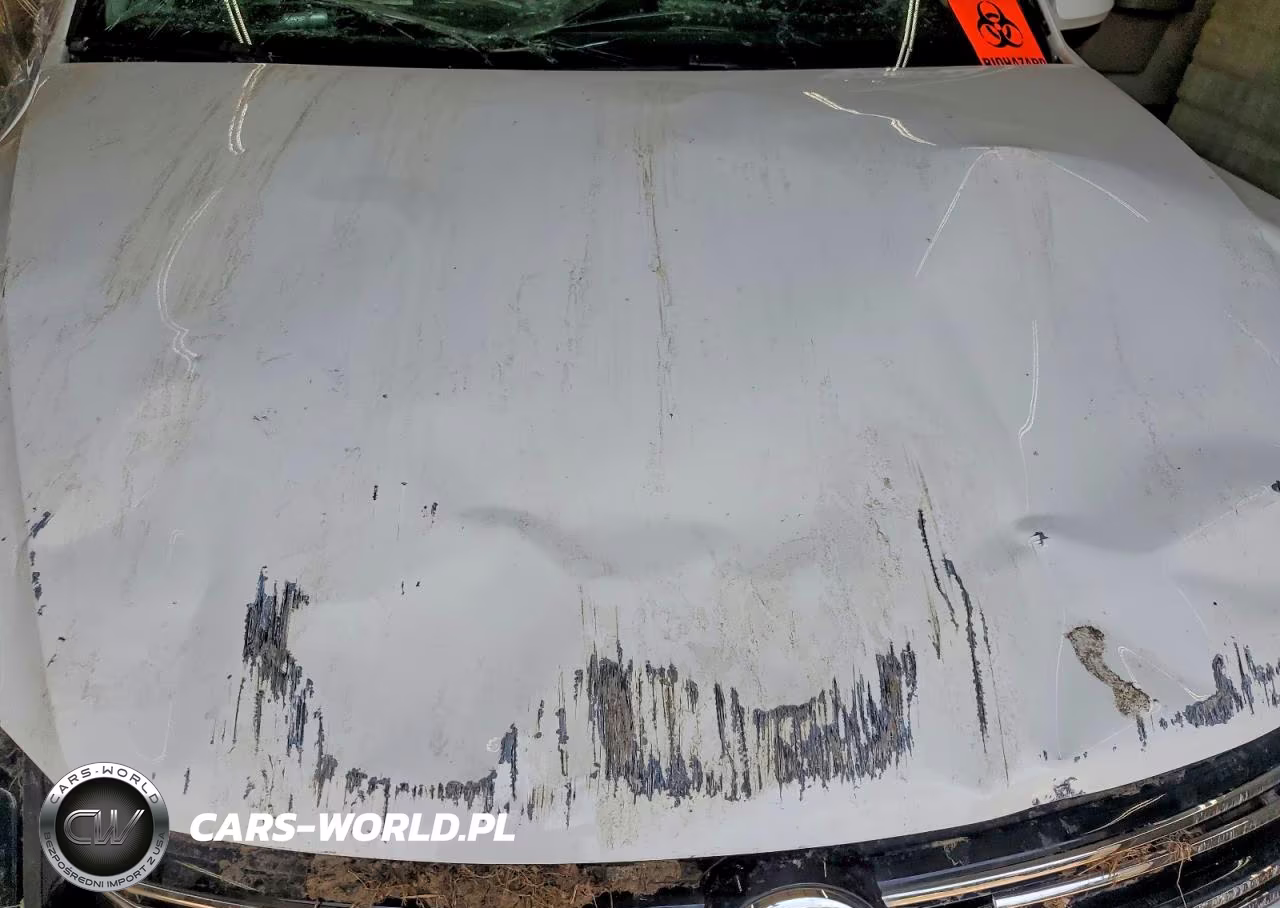 2017 Volkswagen Tiguan S VIN:WVGBV7AX3HK052684 - 12