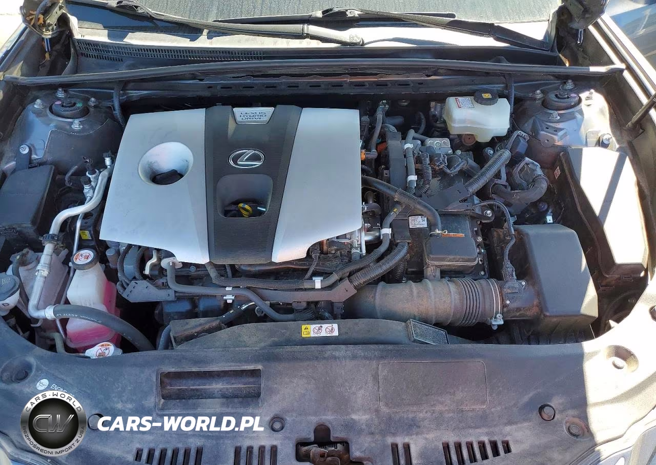 2019 Lexus Es 300H VIN:JTHB21B16K2040152 - 11