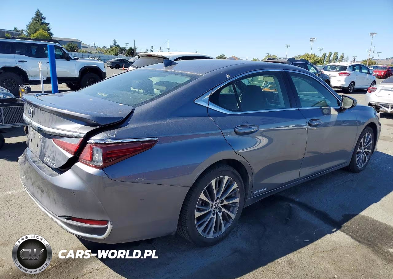 2019 Lexus Es 300H VIN:JTHB21B16K2040152 - 3