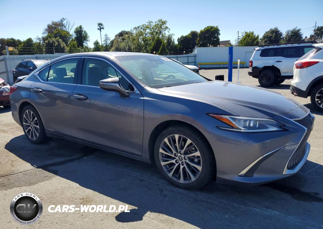 2019 Lexus Es 300H VIN:JTHB21B16K2040152 - 4