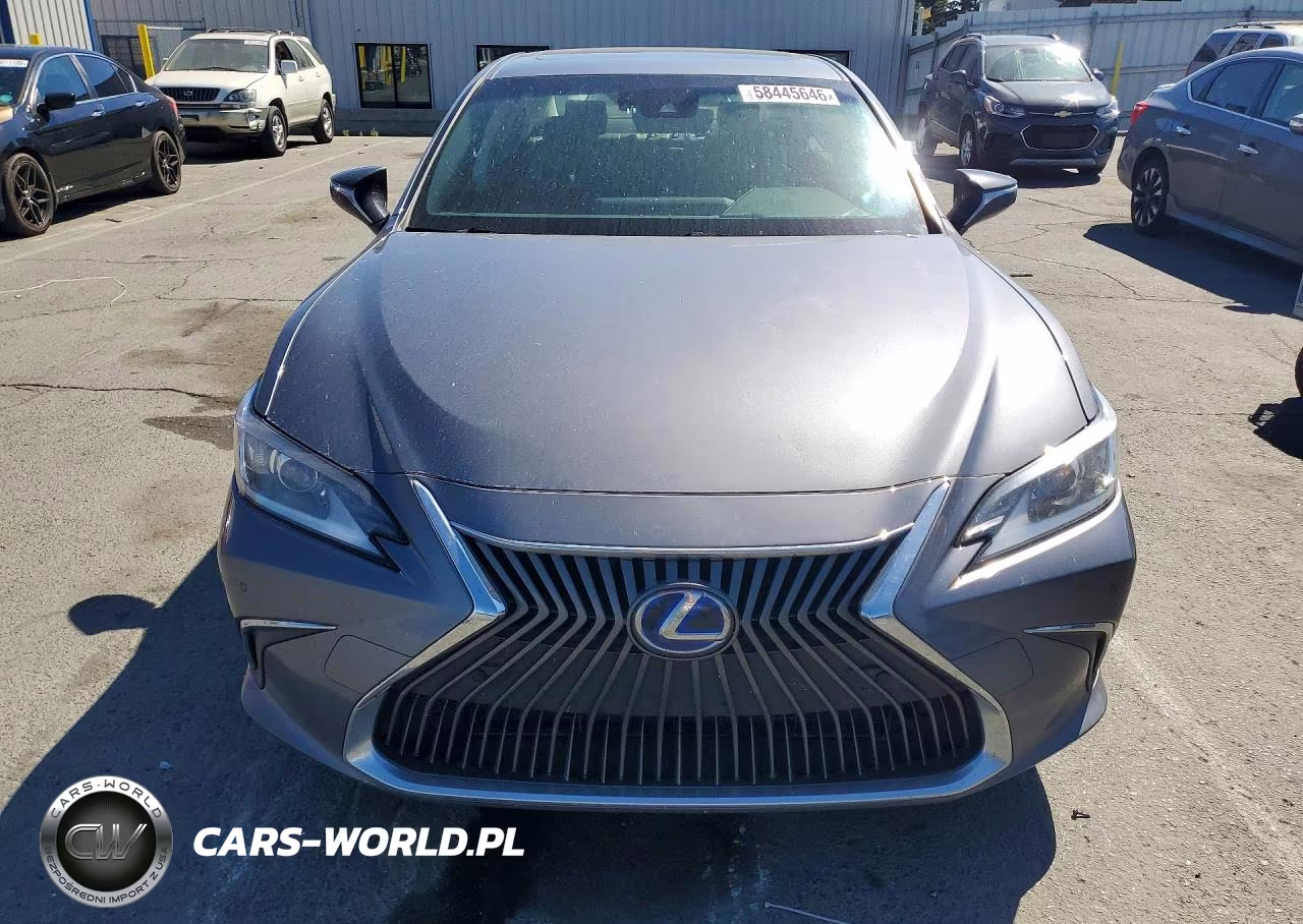 2019 Lexus Es 300H VIN:JTHB21B16K2040152 - 5